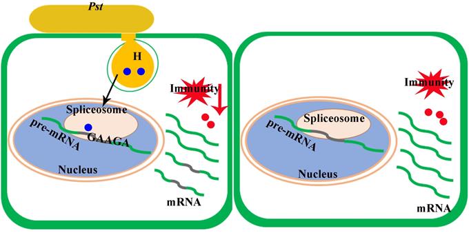d3b0846e97654960816bb477246a82fe.jpg 图片-裁剪-680.jpg